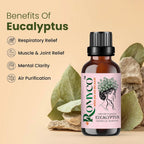 Romyco Eucalyptus Essential Oil for Skin, Hair, Steam Inhalation & Massage | Aromatherapy Diffuser Oil | Premium, Natural, Undiluted, Therapeutic Grade Visit the ROMYCO Store