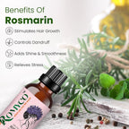 Romyco Rosemary Essential Oil for Hair Growth & Scalp Care | Skin Care | 100% Pure Natural Undiluted Steam Distilled | Therapeutic Grade | Aromatherapy Diffuser