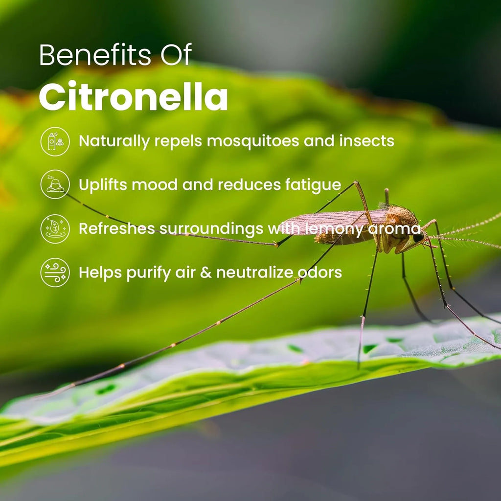 Romyco Citronella Essential Oil | Natural Insect & Mosquito Repellent Oil | Therapeutic Grade Pure Natural Undiluted | Aromatherapy Diffuser